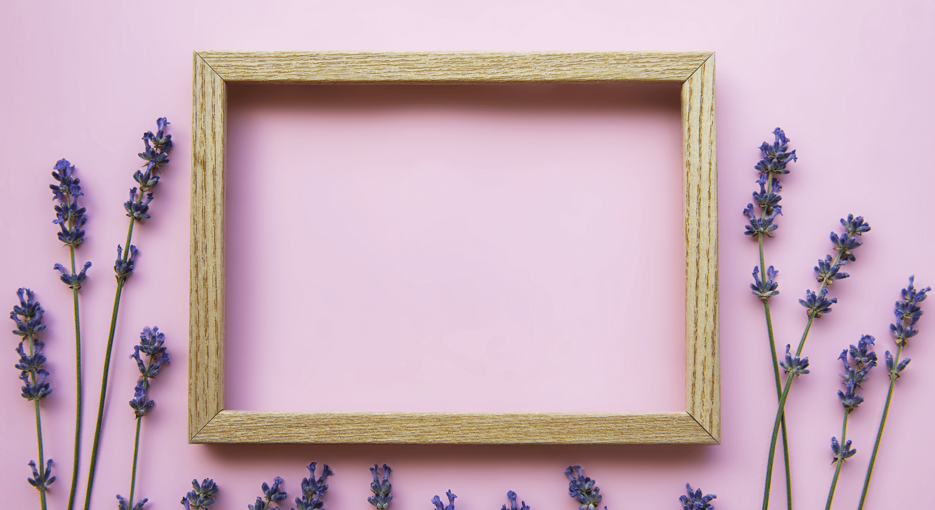 Image Slider